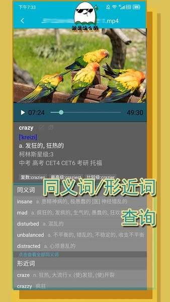 单词播放器图2