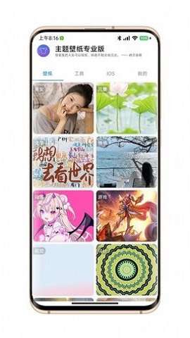 汇飞主题壁纸图3