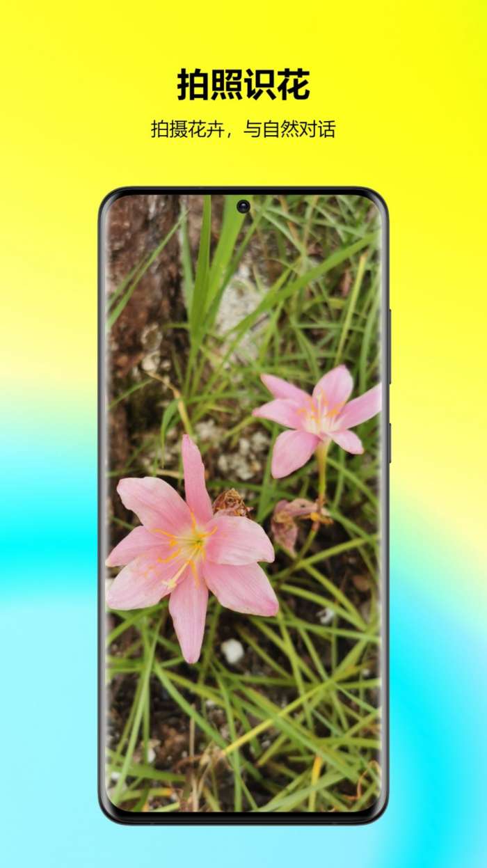 万能拍照识花图3