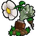 植物大战僵尸2010年度版