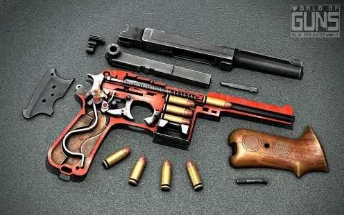 枪炮世界(World of Guns)图2