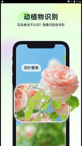 智能识万物图2