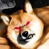 肌肉柴犬破解版