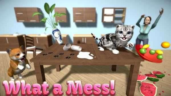 猫咪模拟器无限金币版最新版图2