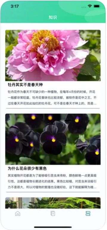 爱上了养植物图2