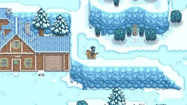 stardew valley图4