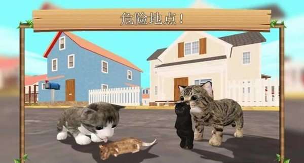 猫咪生存探险图1