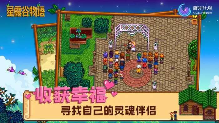 星露谷物语汉化版手机版（Stardew Valley）图1