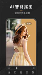 P图全能王图1