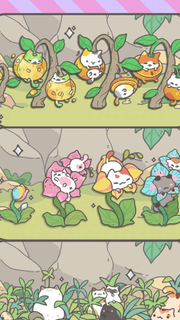 养猫达人图2