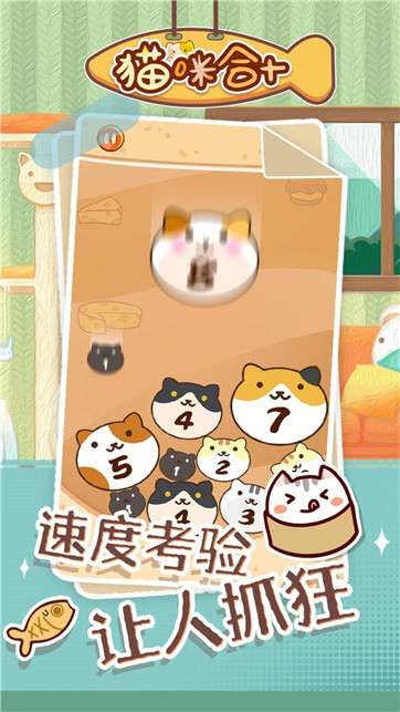 猫咪合十图4