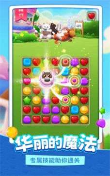 小乐猫的糖图3