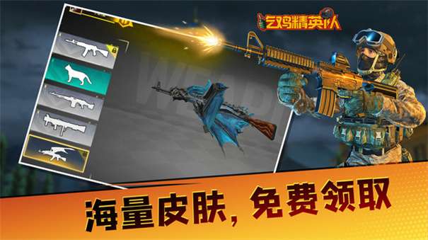 吃鸡精英队图2