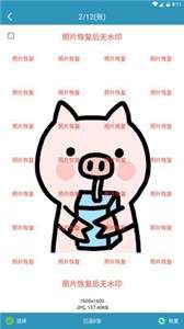 照片恢复能手图1