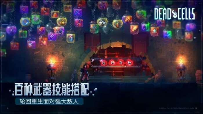 重生细胞免费版无需付费（Deadcells）图2