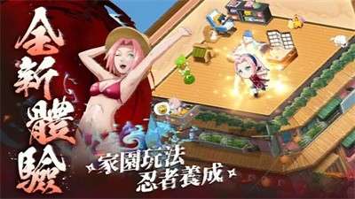 忍者传说新世代图3
