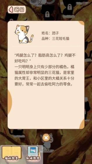 猫宅97安卓版图3