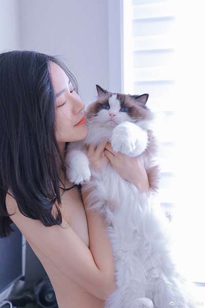 樱花草视频在线观看高清版版图3