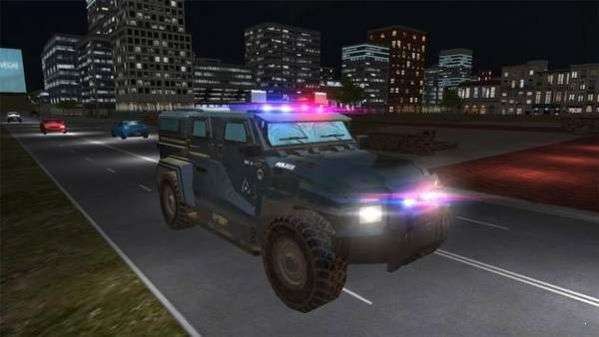 USA警车驾驶2020图3