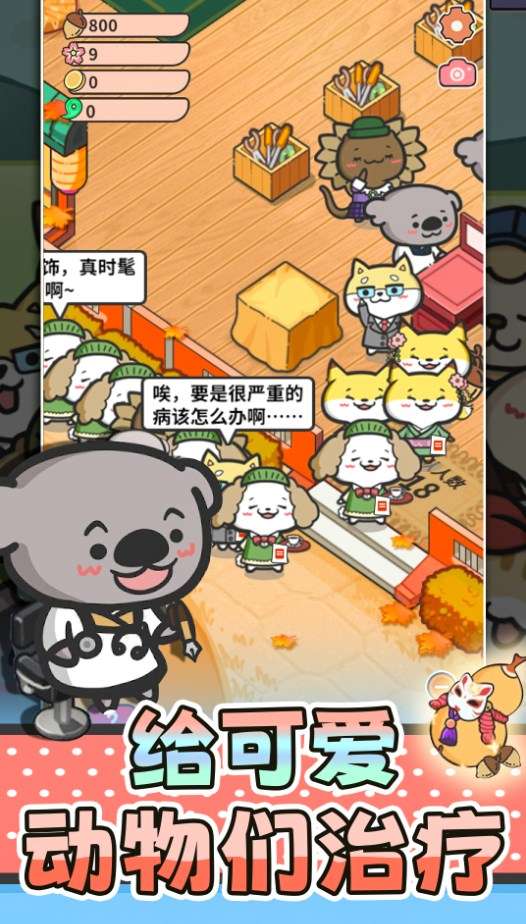 猫舍与动物之友图5