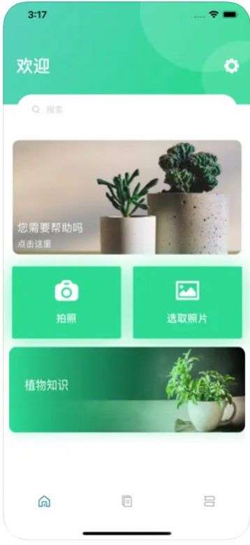 爱上了养植物图1