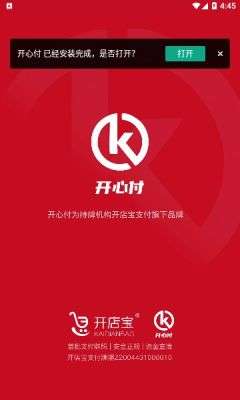 开心付图3