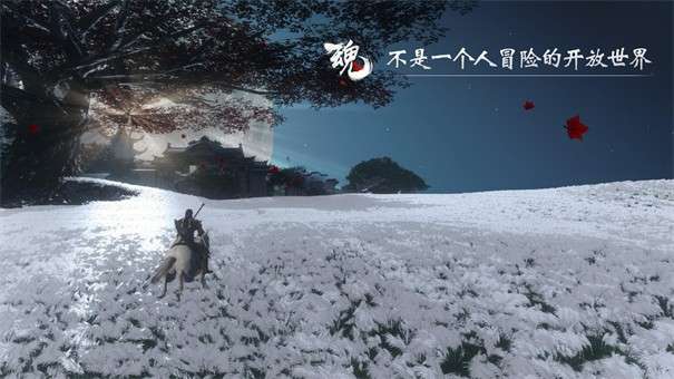魂图2