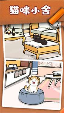 猫咪小舍无限星星金币钻石版图1