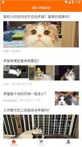 猫车图3