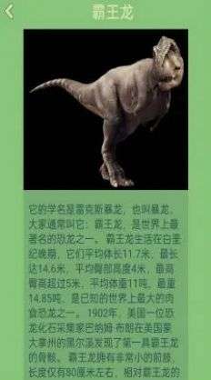 梦幻恐龙岛红包版图3