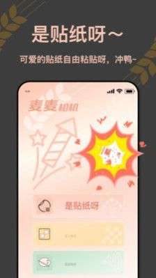 麦麦相机图4