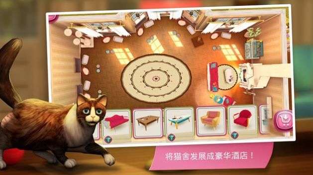 猫咪旅店图1