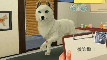 宠物救助模拟器最新版图1
