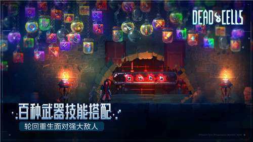 重生细胞3.2.4无邪内置功能菜单图4