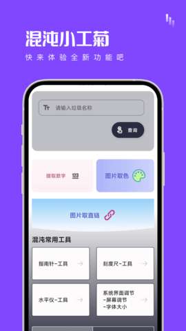 混沌小工菊图2