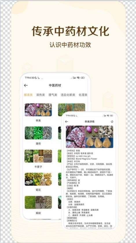 经络穴位指南图3
