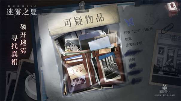 迷雾之夏免费版图3