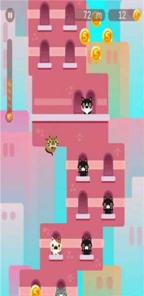 猫猫跳图2