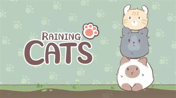 天降猫雨图3