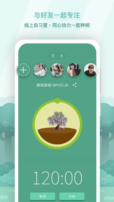 forest专注森林专业版图1