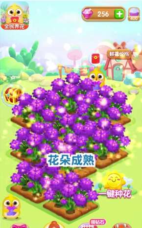 全民养花赚钱红包提现版图4