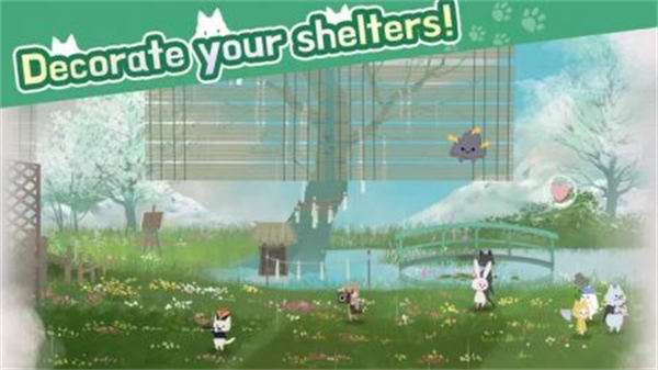 猫猫庇护所图2