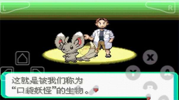 口袋妖怪漆黑魅影图2
