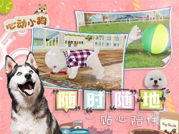 心动小狗图3