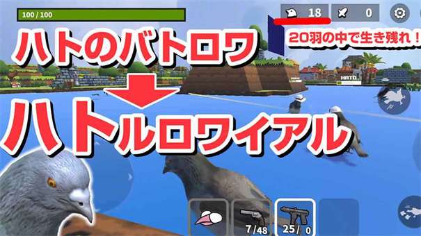 鸽子大逃杀图1