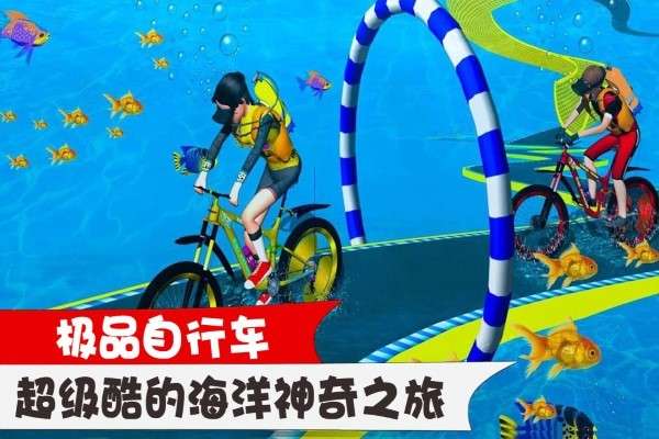 极品自行车图1