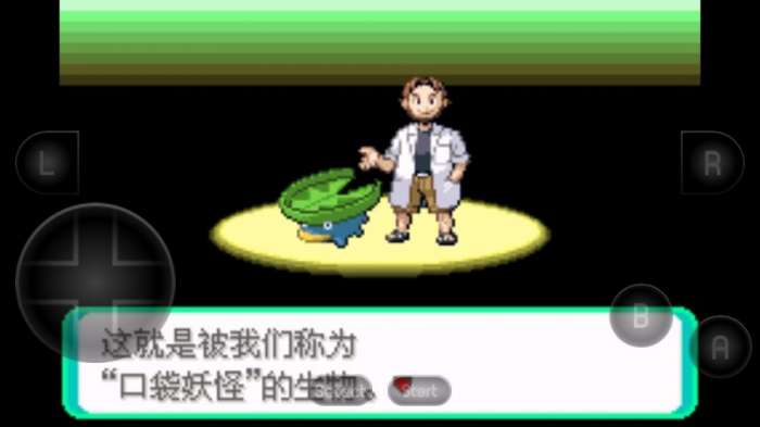 口袋妖怪蓝宝石下载图4