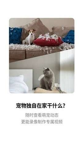 腾讯慧看家图3
