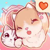 云猫咪