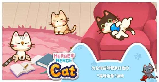 合并猫猫图5